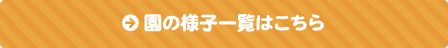 園の様子一覧はこちら